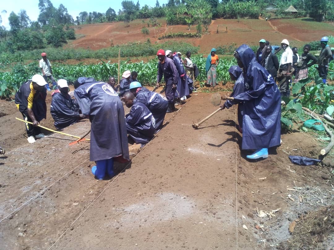 Projet RENUGEL en partenariat avec la FAO (La mise en place de 10 jardins scolaires dans les écoles primaires et de 8 jardins de démonstration dans les Unités Nutritionnelles Thérapeutiques (UNT), ainsi que la formation de 600 femmes à savoir, les mères d'enfants malnutris et les femmes enceintes, aux techniques et bonnes pratiques de production maraîchère, dans la zone de santé de Walungu en territoire de Walungu, dans la province du Sud-Kivu, en République Démocratique du Congo ).